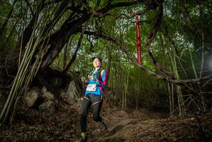 BIB: 
                            <button type="button" onclick="openModal(22178948)" class="btn btn-primary btn-sm float-right btn-popup" data-toggle="modal" data-target=".modal-high-quality">
                        <i class="fas fa-shopping-cart"></i> Add to Cart
                    </button>
                                            <button type="button" onclick="isThisMe(22178948, true)" class="btn btn-success btn-sm float-right btn-popup btn-isme hidden" data-toggle="tooltip" data-placement="bottom" title="นี่คือรูปของคุณใช่ไหม คลิกที่นี่เพื่อเอาเข้าอัลบั้ม">
                        <i class="fas fa-plus"></i> Add to album
                    </button>
                    <button type="button" onclick="isThisMe(22178948, false)" class="btn btn-warning btn-sm float-right btn-popup btn-isnotme hidden">
                        <i class="fas fa-ban"></i> Remove from album
                    </button>